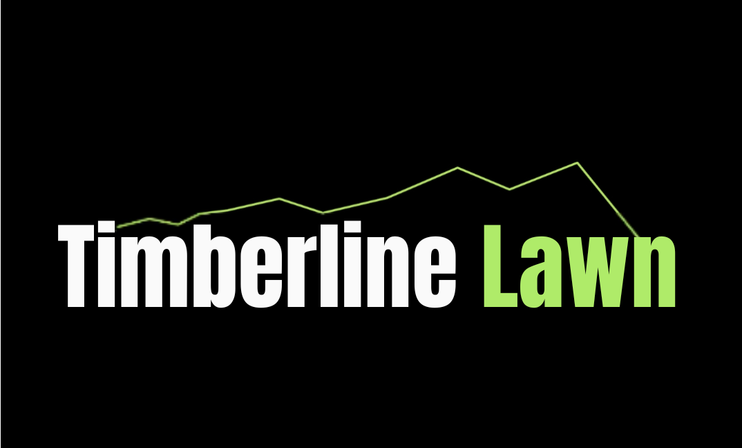 Timberline Dallas logo